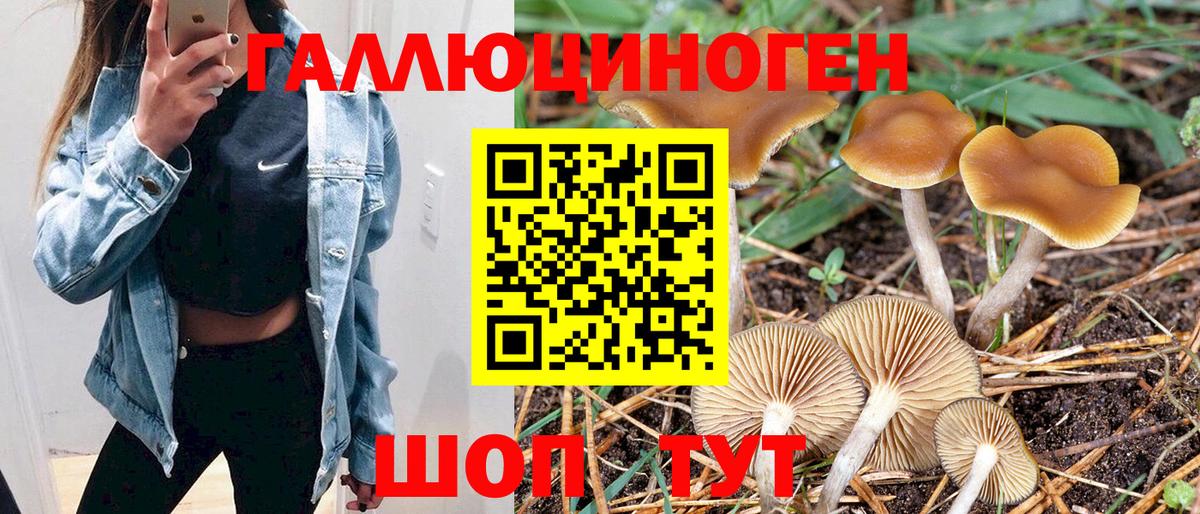 Псилоцибиновые грибы GOLDEN TEACHER  Псилоцибиновые грибы Cubensis  Вход с VPN  Полысаево 