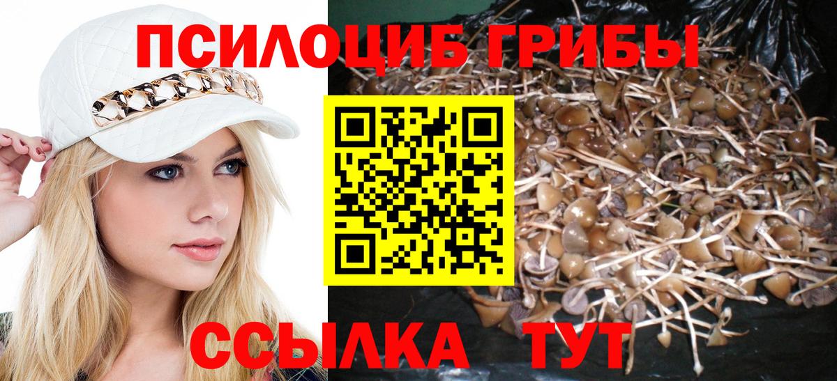 Псилоцибиновые грибы ЛСД  Полысаево 